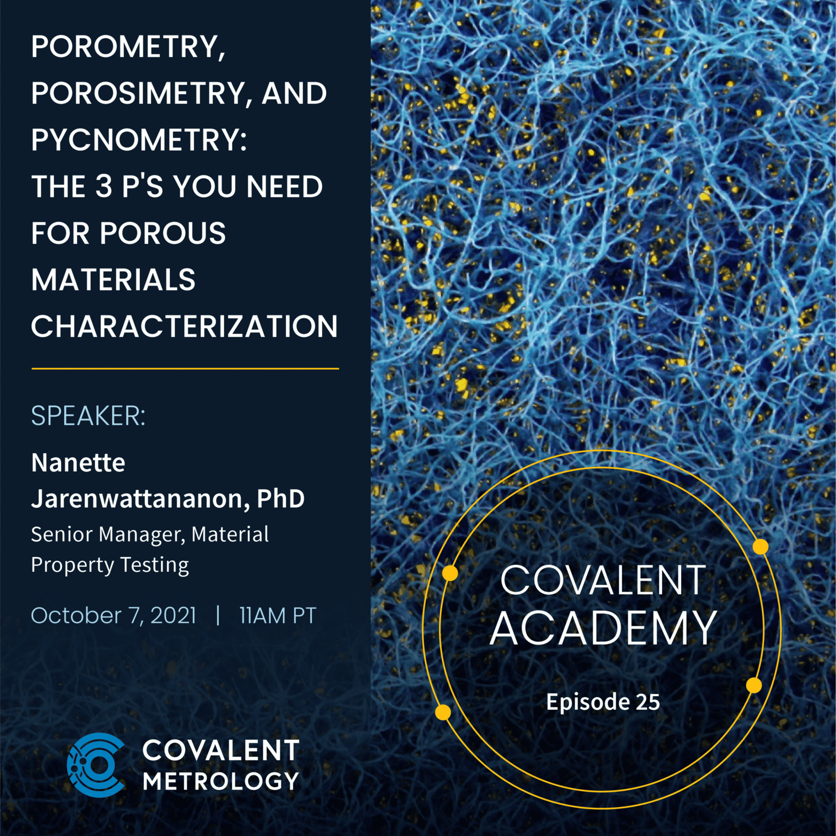 Porometry, Porosimetry, and Pycnometry: The 3 P’s You Need for Porous Materials Characterization
