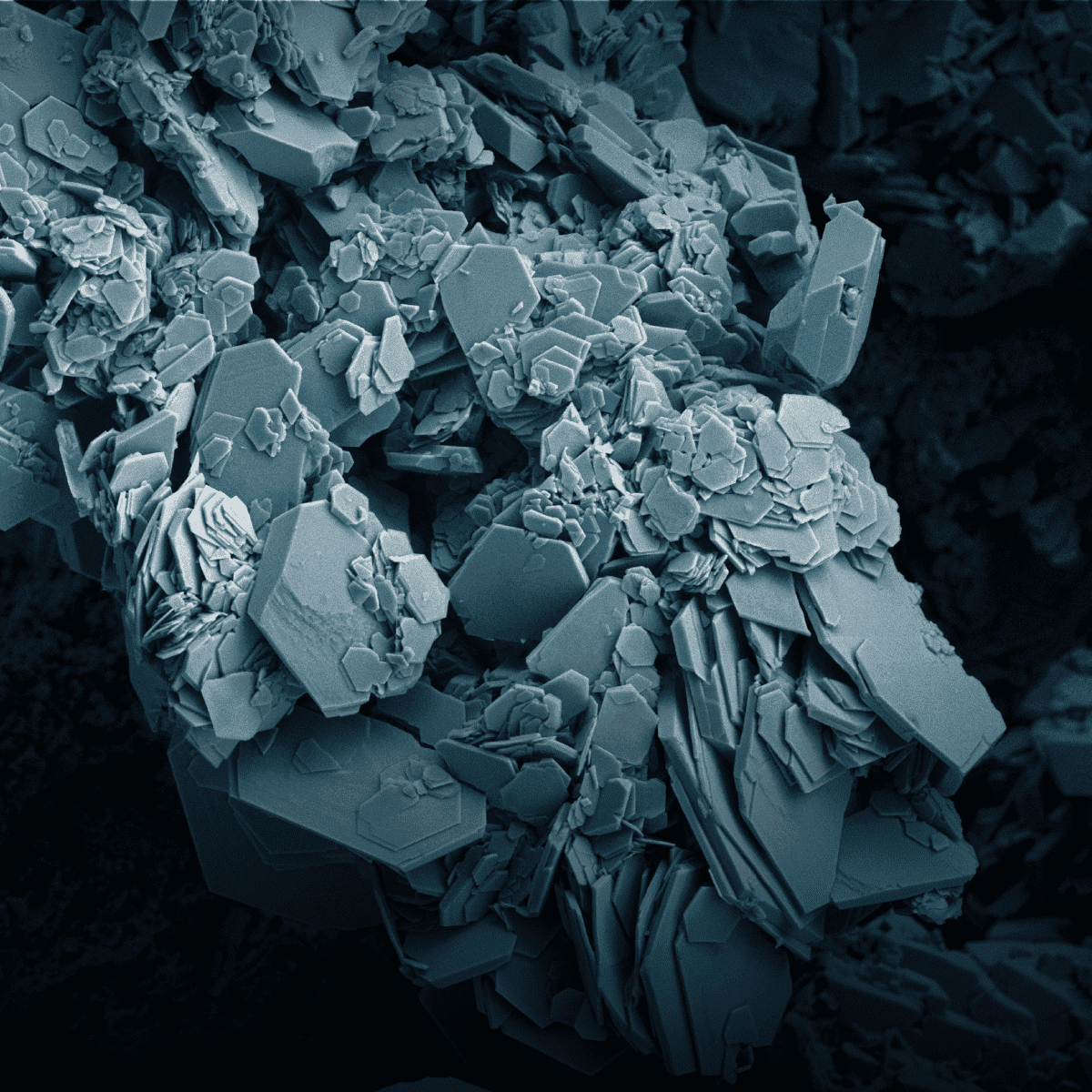 Electron and Ion Beam Imaging With DualBeam Focused Ion Beam Scanning Electron Microscopes