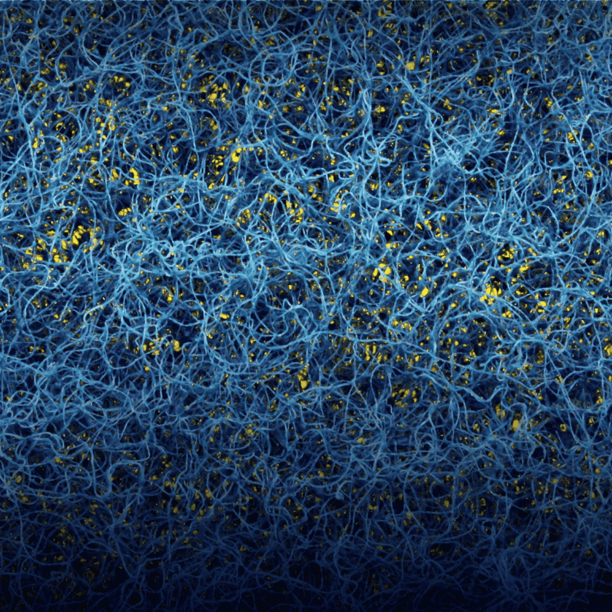 Porous Materials Characterization With Porometry, Porosimetry, and Pycnometry