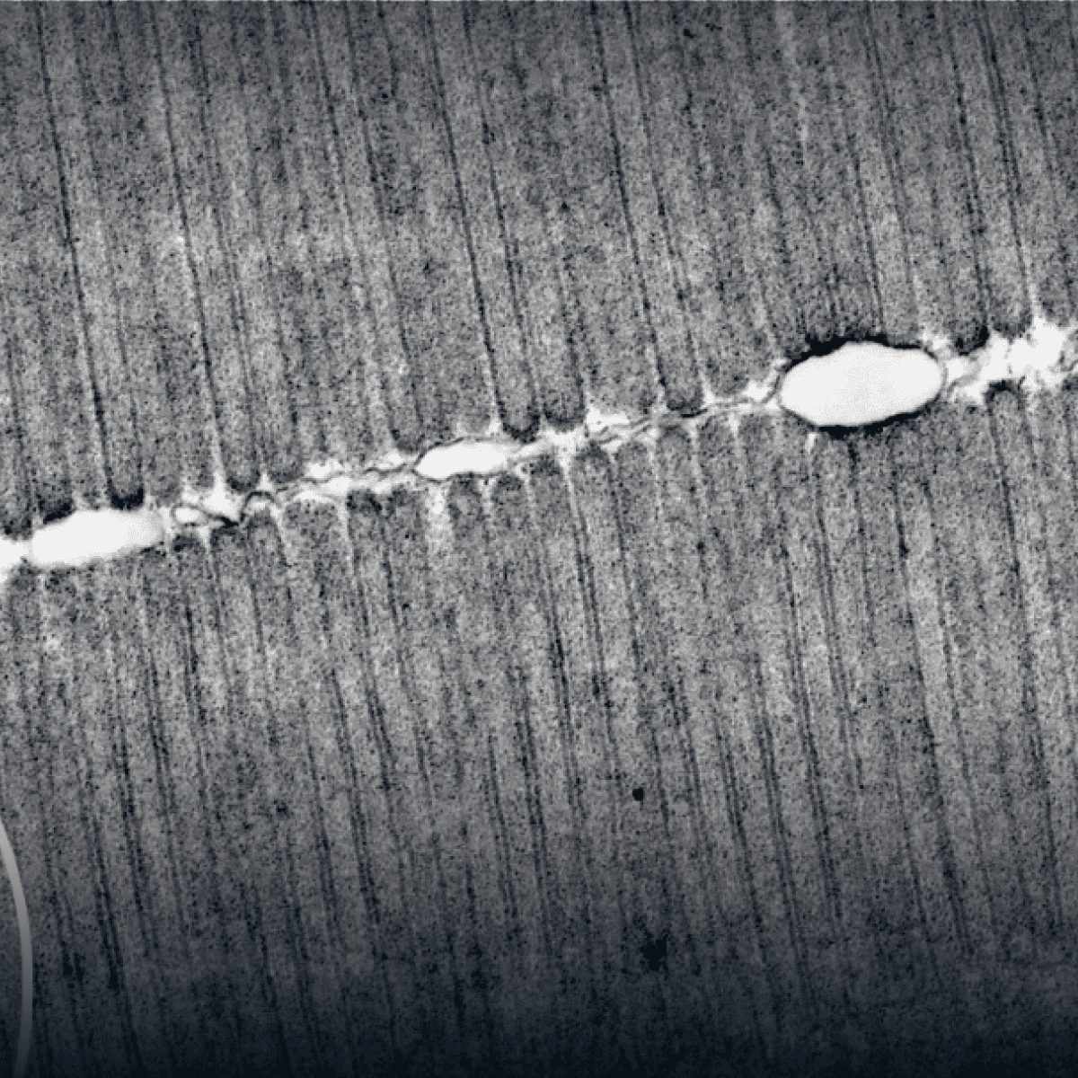 (Scanning) Transmission Electron Microscopy (S/TEM) Using the Thermo Fisher Talos F200X