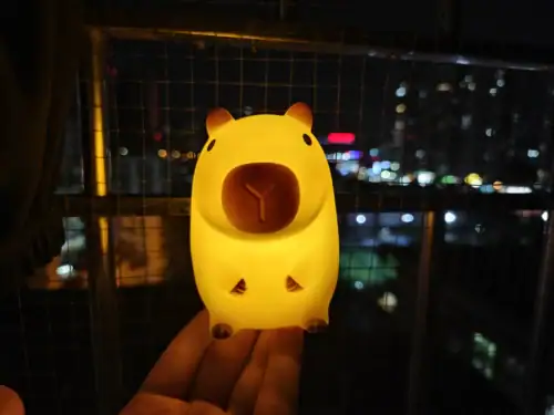 Charming Capybara Night Light for Kids photo review