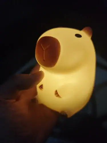 Charming Capybara Night Light for Kids photo review
