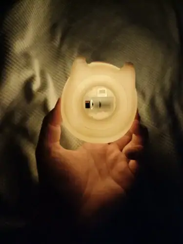 Charming Capybara Night Light for Kids photo review