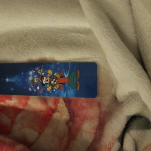 A Disney Christmas