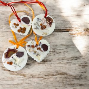Eucalyptus Soy Wax Sachet: Dried Flower Aromatherapy Closet Drawer Freshener