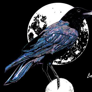 Crow in the Moonlight, Hand drawn Original Wall Art - Digital Download
