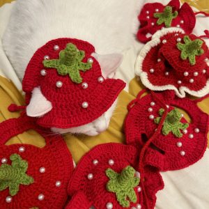 Handmade crochet strawberry Hat for cat and small dog cute style
