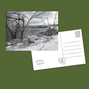 Niagara Falls winter snow icy trees postcard