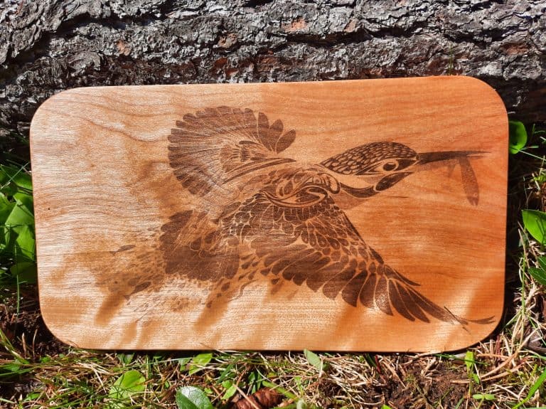 kingfisher_small