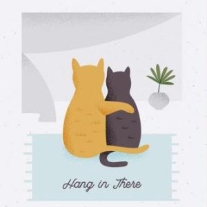 Cat Cuddles Sympathy Card