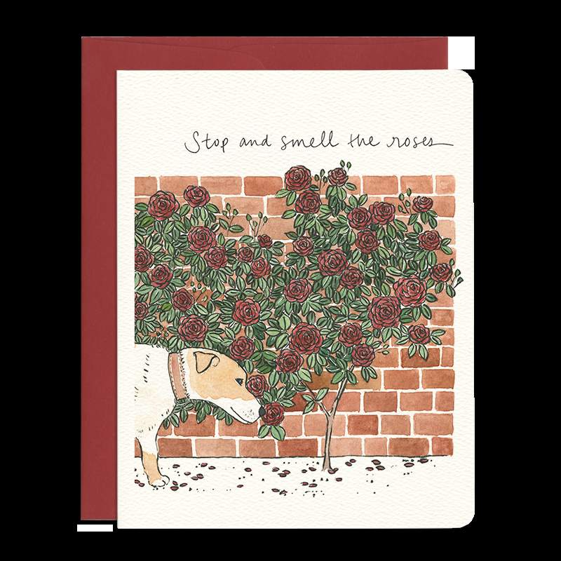 SmellRoses - Front