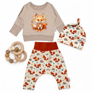 Cute Fox Baby Bundle 3-6 month size