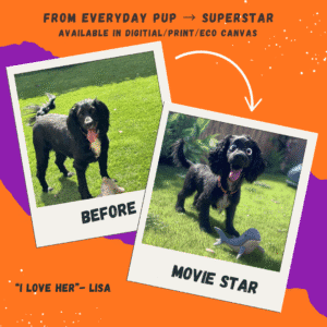 before and after of pet potrait