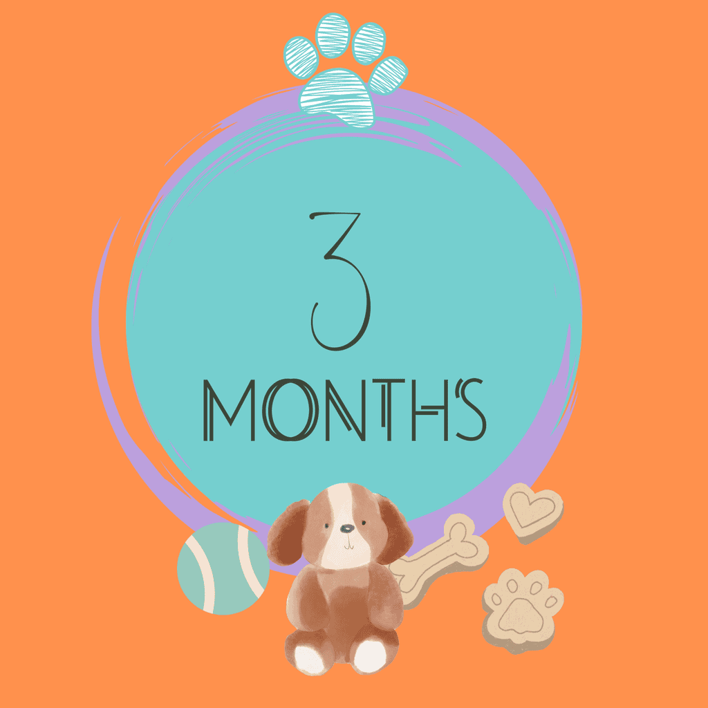 Puppy Firsts Milestone Card Pack (Printable) - Image 2