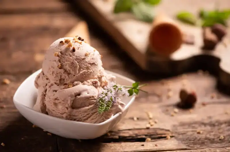Ninja Creami Chai Spice Ice Cream