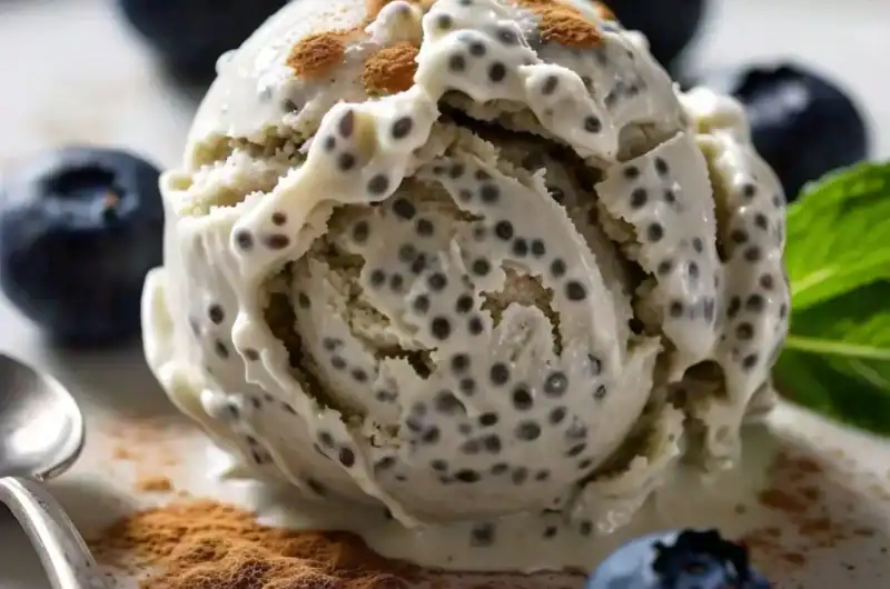 Ninja Creami Chia Seed Pudding Ice Cream