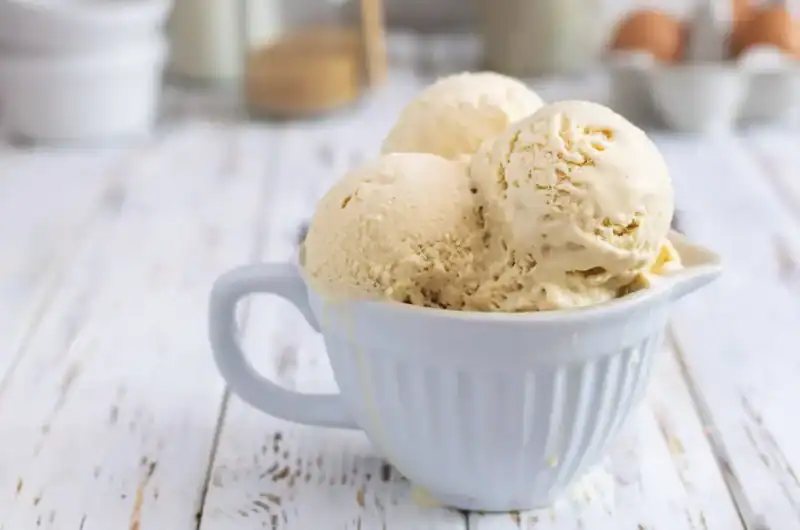 Ninja Creami Eggnog Protein Ice Cream