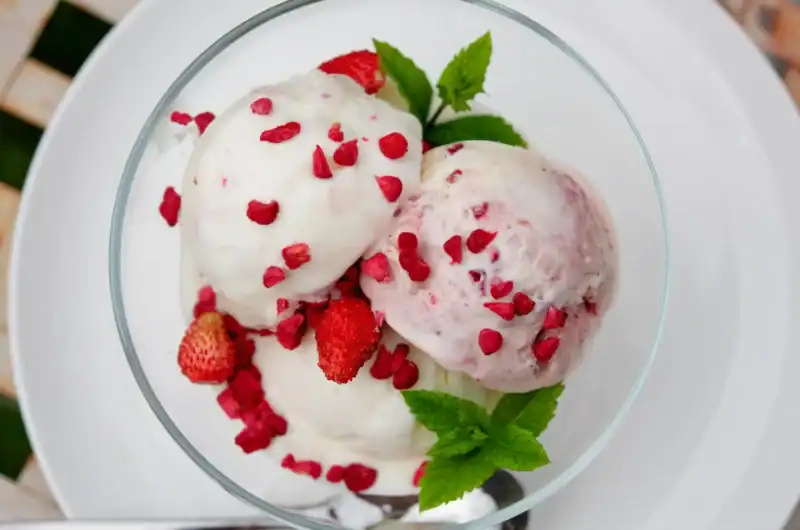 Creamy Dreamy Ninja Creami Frozen Yogurt