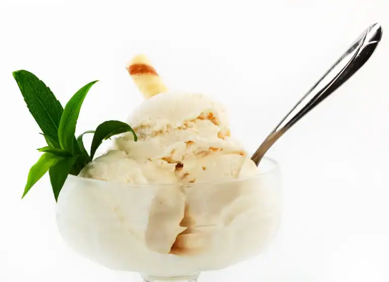 Delicious keto-friendly coconut macadamia ice cream with creamy texture and natural ingredients. Per.