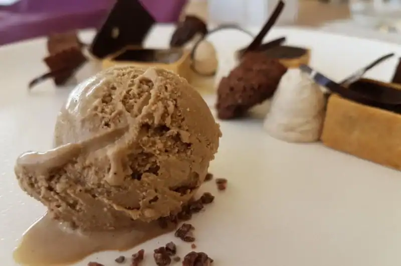 Ninja Creami Keto Mocha Almond Fudge Ice Cream