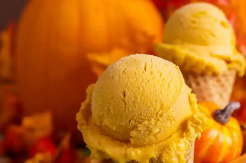 Ninja Creami Pumpkin Ice Cream