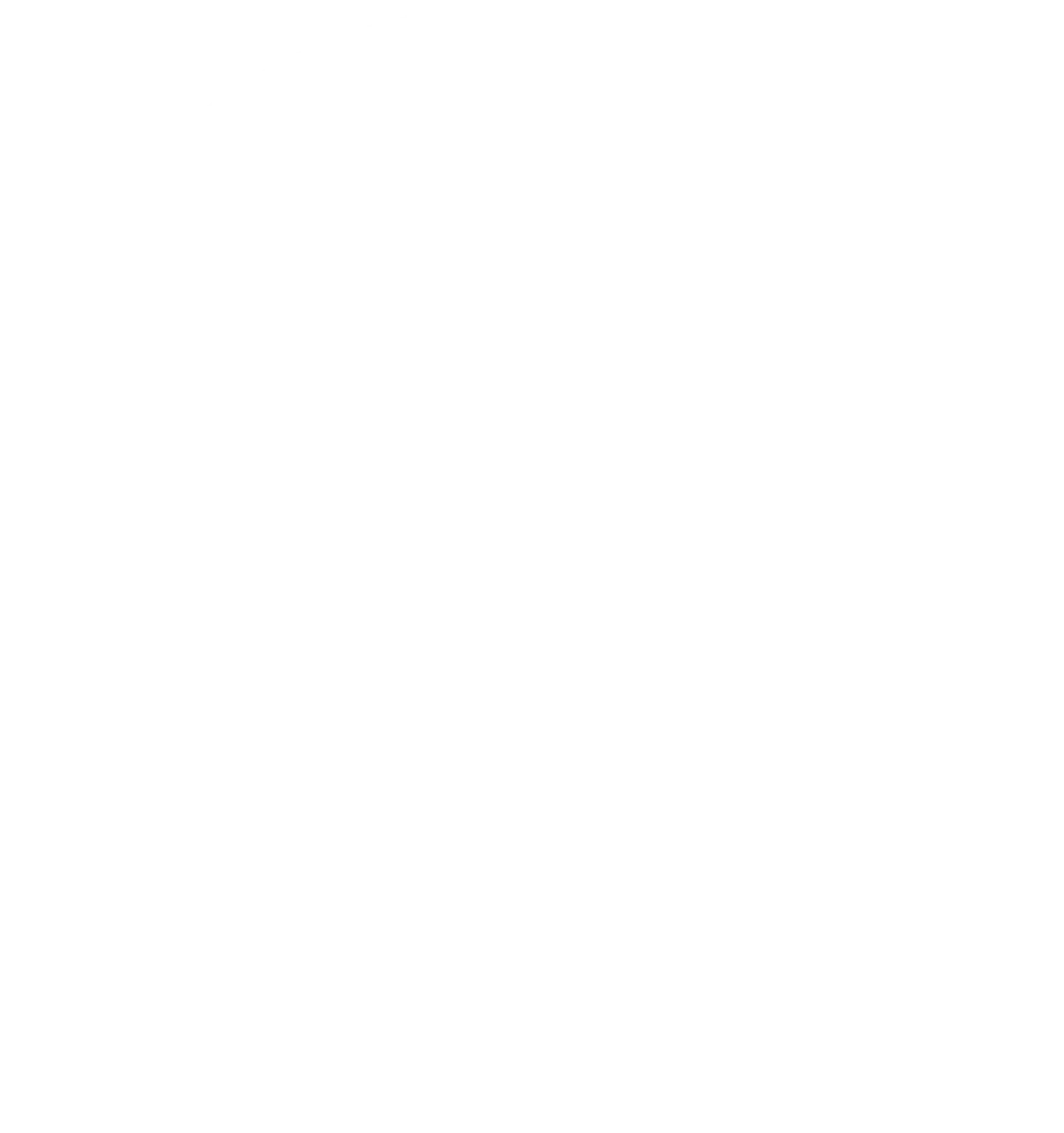 Cryptobulls.nl site icoon transparant – crypto website