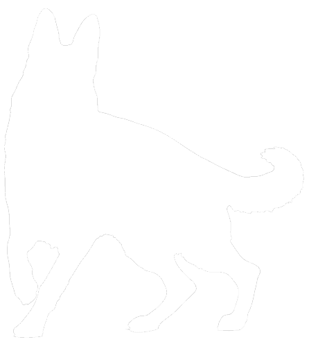 Silhouette of a German Shepherd dog standing.