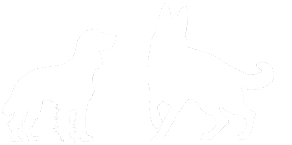 Silhouettes of two standing dogs