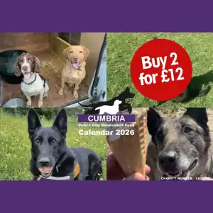 Calendar (buy 2 for £12)