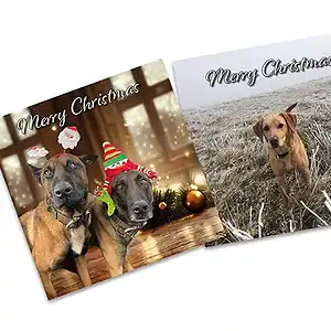Christmas Cards – Pack 1