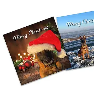 Christmas Cards – Pack 2