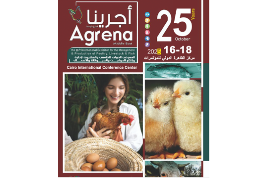 Screenshot 2025-10-06 171454