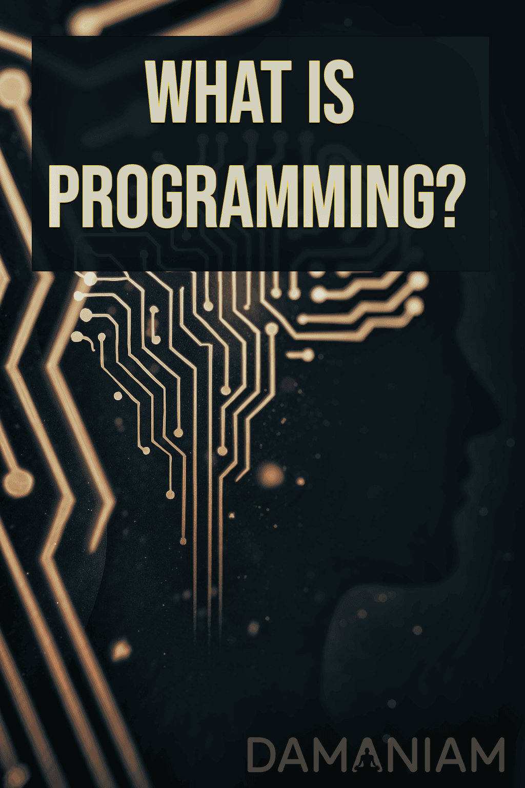 What is programming and how to identify them. also why? DaManIAm explains