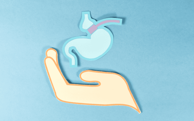 Illustration of a hand holding a stomach with a gastric tube.