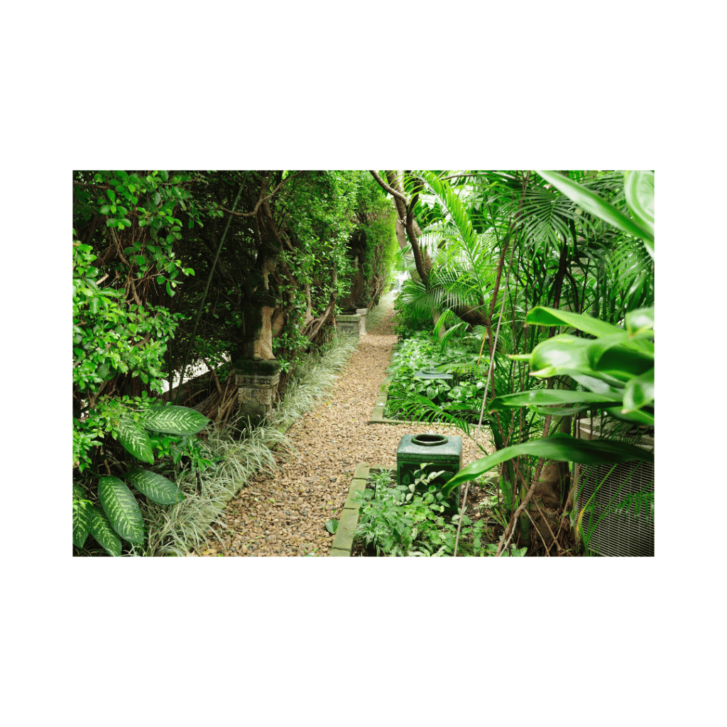 Peaceful green garden pathway symbolizing freedom and calm."