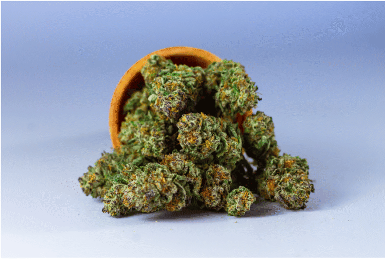 Cannabis buds spilled from a container on a neutral background, representing marijuana use and potential addiction.
