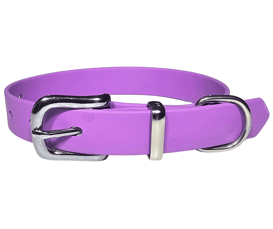 Dog Collar Biothane 16mm. Soft, lightweight and waterproof, our BioThane dog collars are durable & odour resistant. Easy to clean, they will last .