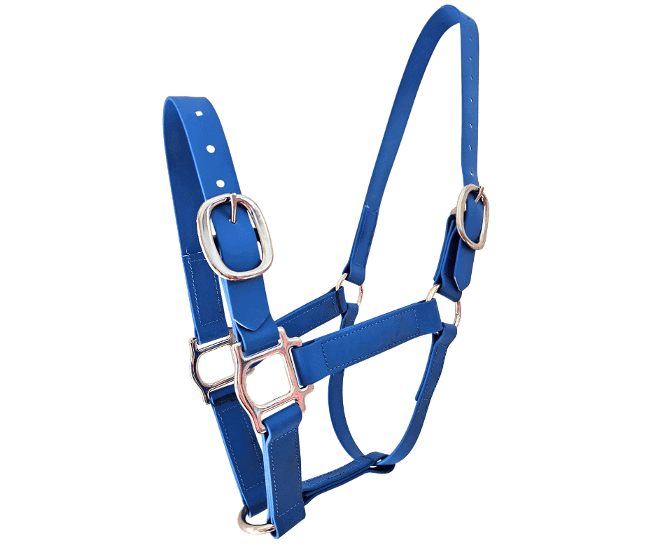 horse halter pvc tpu blue 25m