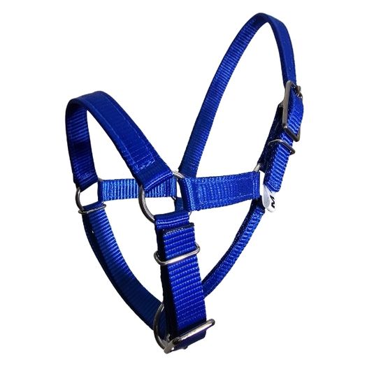 Alpaca halter ultimate blue