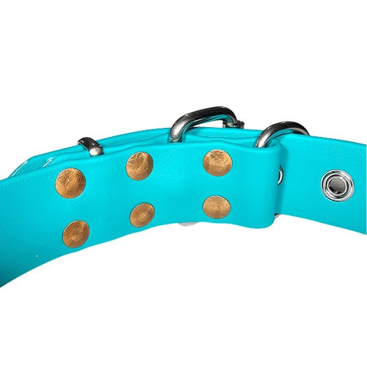 Blue dog collar with brass rivets and metal D-rings for secure attachment.