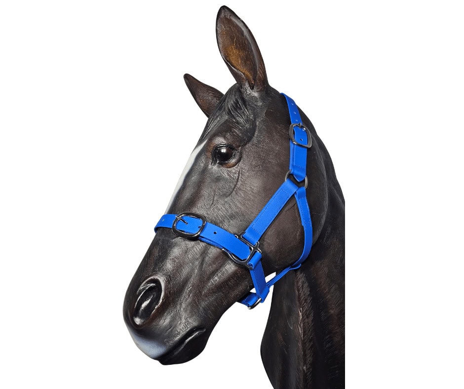 horse halter pvc tpu 25mm blue