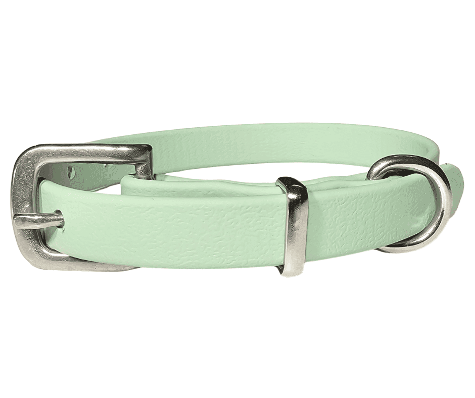 Dog Collar BioThane