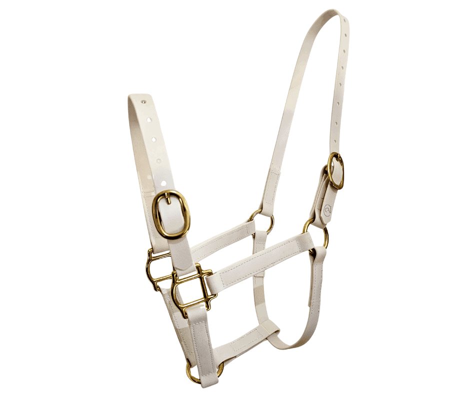 Horse Halter PVC TPU Brass 20mm
