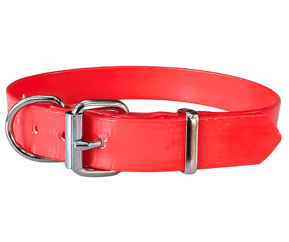 25mm PVC Working Dog Collar