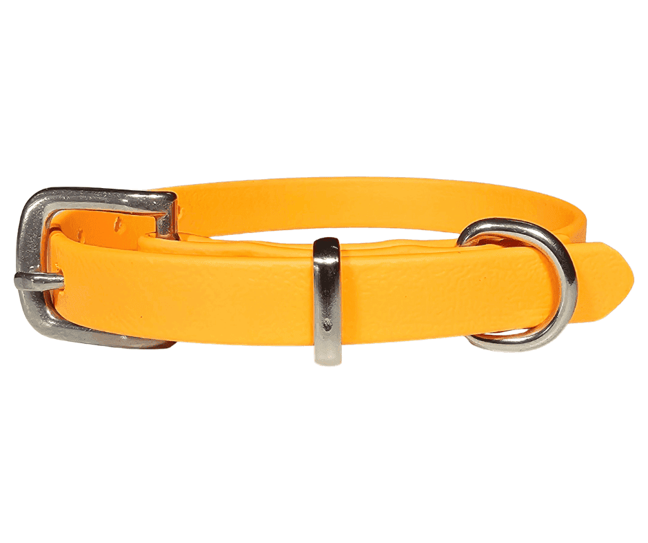 BioThane Collar