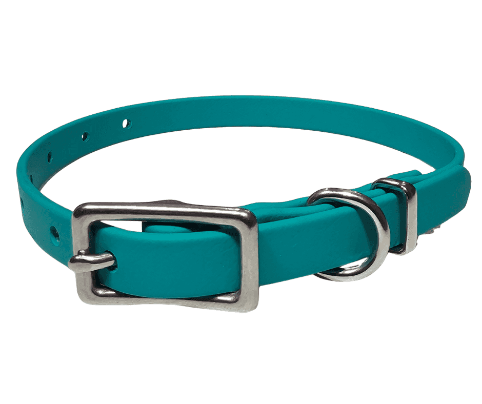 Teal BioThane 13mm Dog Collar