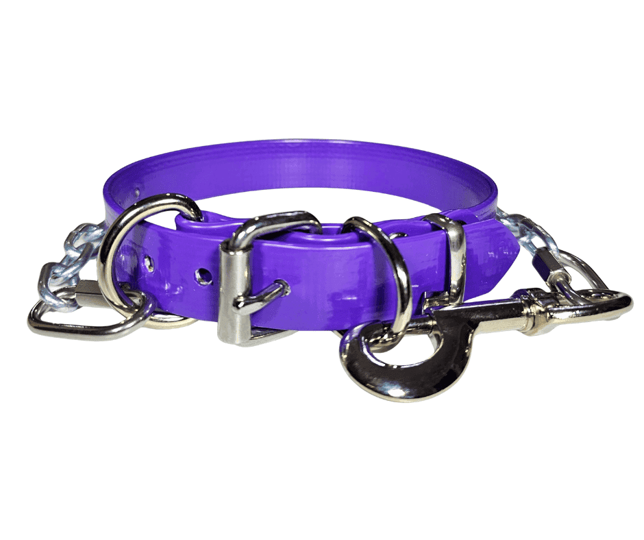 Working Dog Collar & Tie out is pitched in purple on white background to give you a seamless view of how well made our collars are
