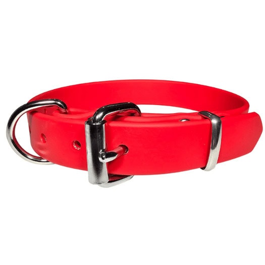 Red heavy-duty dog collar with metal buckle and D-ring for working dogs.