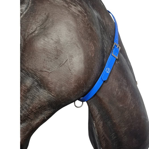 Horse id collar in blue
