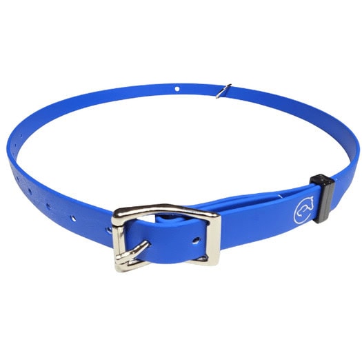 Horse id collar 25mm in blue